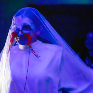 ldo-pan-v-tieni-11-2025@artim-rybim-012