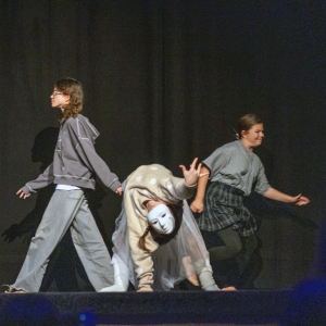 ldo-pan-v-tieni-11-2025@artim-rybim-018