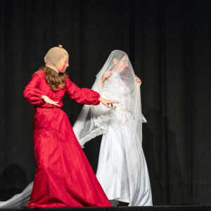 ldo-pan-v-tieni-11-2025@artim-rybim-019